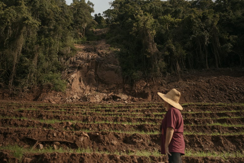 Encosta replantada linha por linha depois da enchente