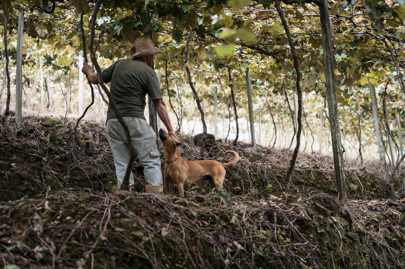 Cooperado descendo a encosta com o cão