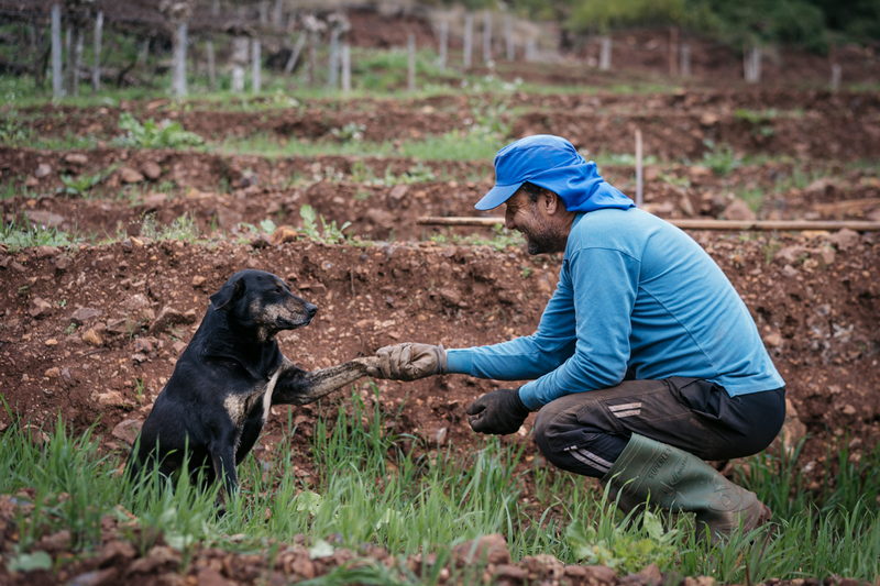 Técnico agachado no solo ao lado de um cão preto