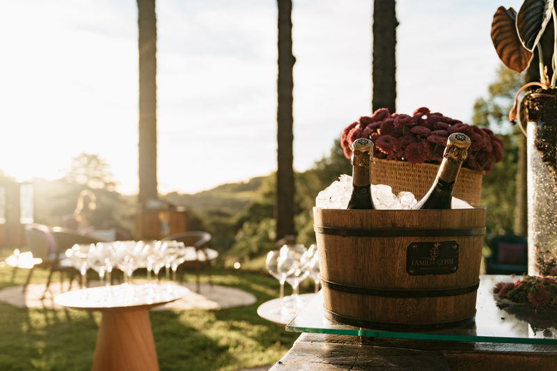 Mesa posta ao ar livre com balde de uvas