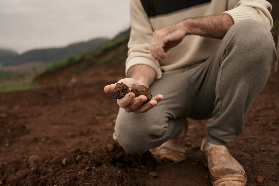 Mãos de um agricultor segurando terra recém-revolvida