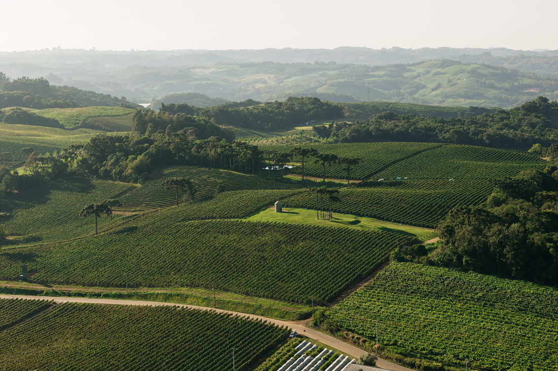 Vista aérea das colinas e parreirais da Serra Gaúcha